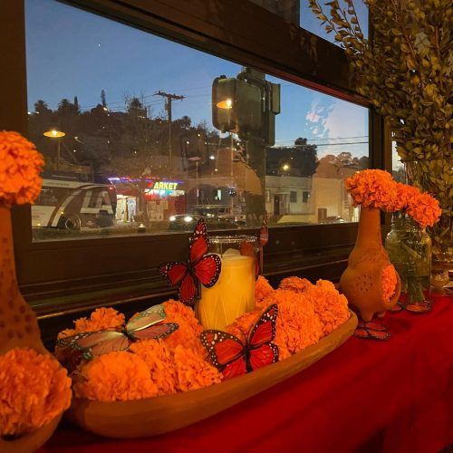 wearevecinxs_251415382_261268912626006_7334725712337774853_n